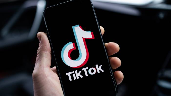 Chinese apps including TikTok face legal action in Europe over personal data transfers