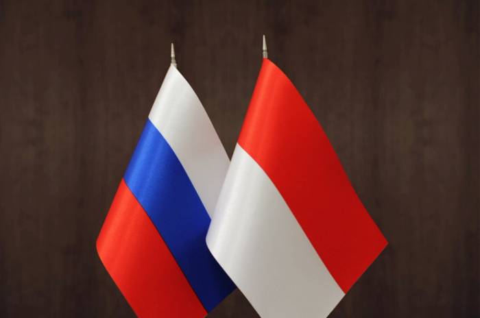 Russia, Indonesia work on using local currencies for trade