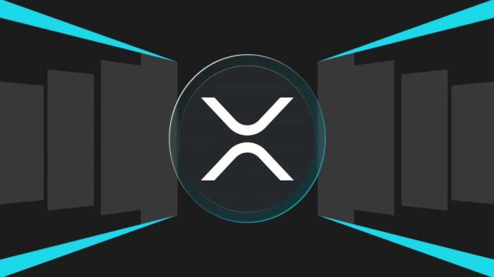 XRP price is predicted to be $20: What’s driving the surge