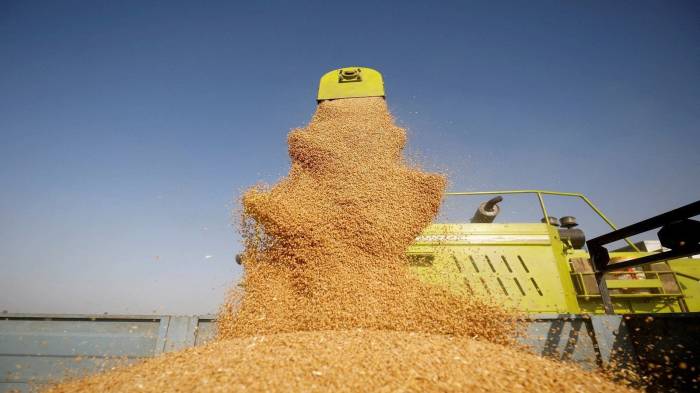 Azerbaijan imported about 1.3 million tons of wheat last year