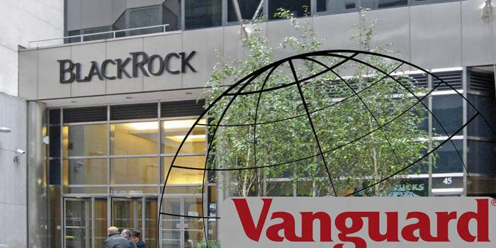 BlackRock and Vanguard: Who controls the global economy?