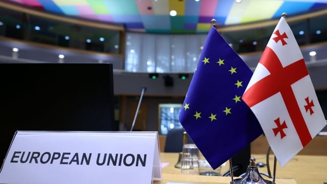 EU Council suspends visa-free travel for Georgian officials 