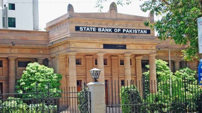 Pakistan cuts policy rate by 100 basis points to 12 pct 