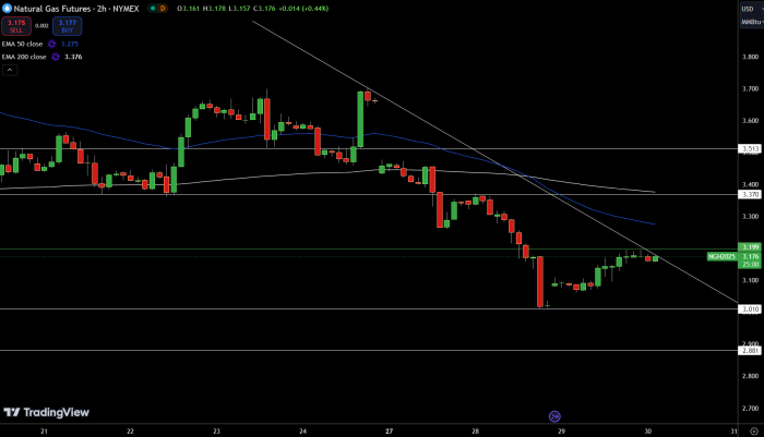 News about - Market turmoil: Natural gas and oil prices fluctuate ahead of OPEC+ meeting