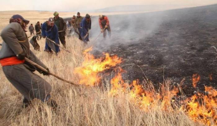 Wildfires ravage 1.5 mln hectares of land in Mongolia in 2024 