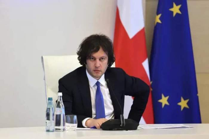 Georgian PM accuses French President of lying 