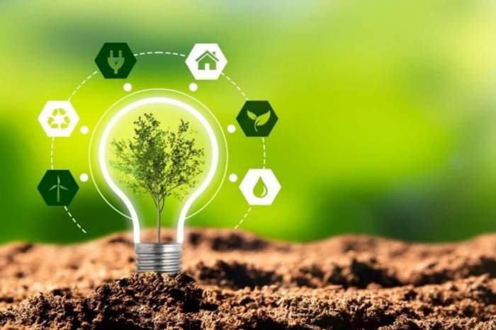 Azerbaijan doubled green energy production over last year 