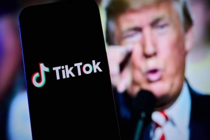 Donald Trump reveals intention for TikTok: Half of TikTok...