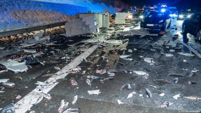 Germany: Hundreds of fish perish in truck crash 