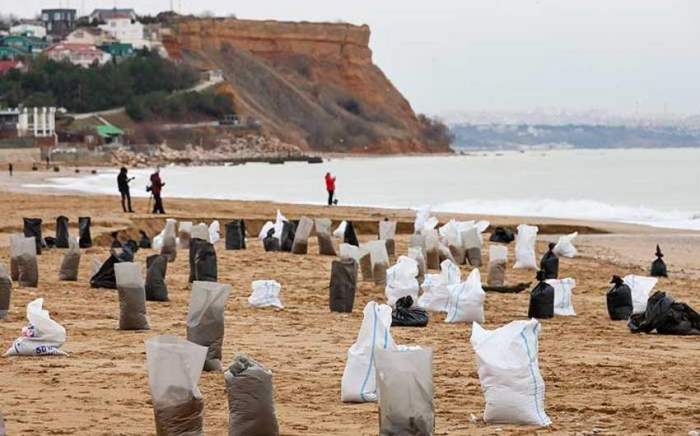 Dozens of dolphins die after fuel oil spill in Kerch Strait 