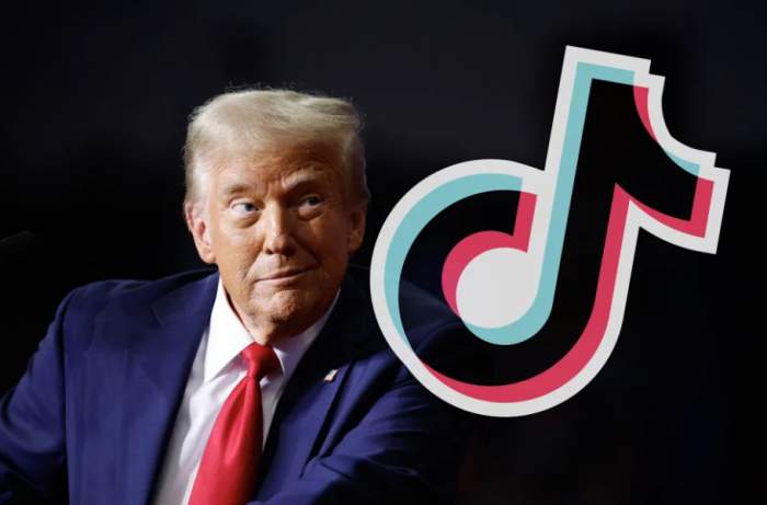 Trump plans to revive TikTok in the U.S., but demands 50% American ownership