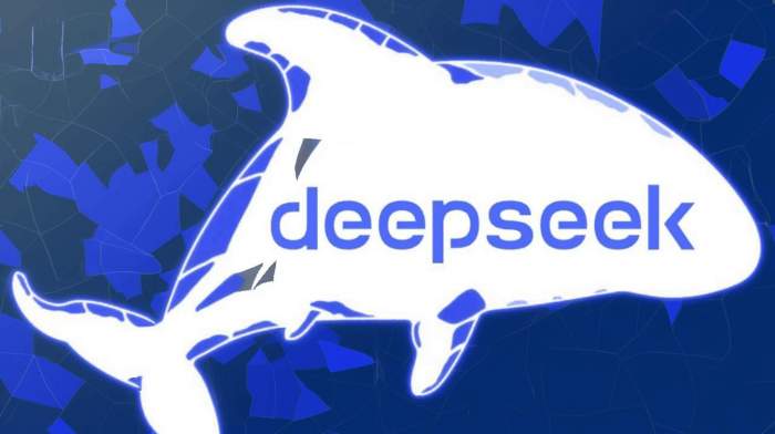 ChatGPT rival DeepSeek chatbot failures: Russian users complain 