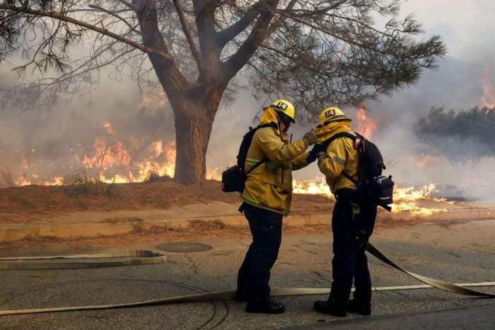 News about - Dramatic scenes from Los Angeles wildfires