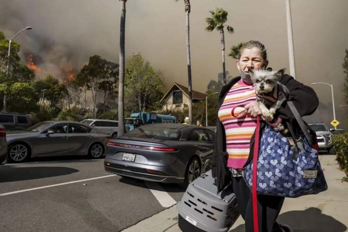 News about - Dramatic scenes from Los Angeles wildfires