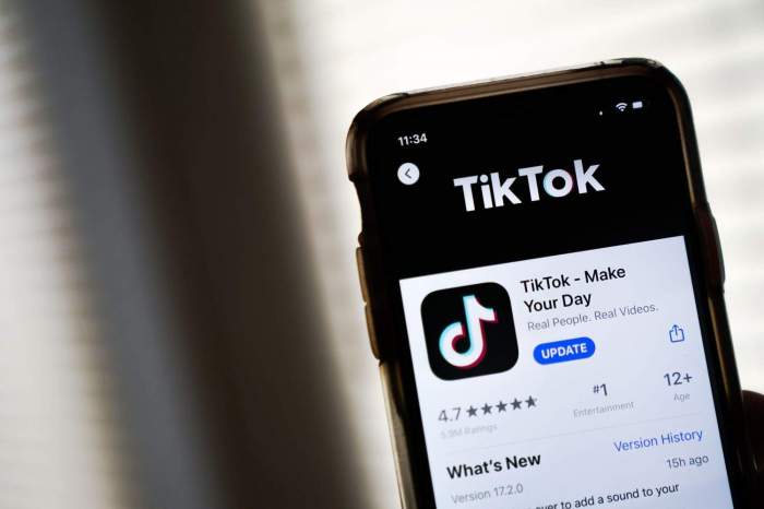TikTok goes dark in the United States 