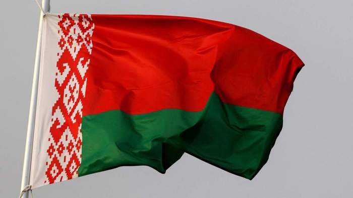 Belarus warns of increased foreign sabotage activities ahead of presidential election