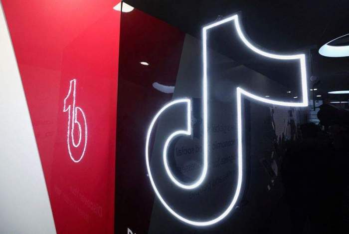TikTok gets reprieve with Trump order but with twist 