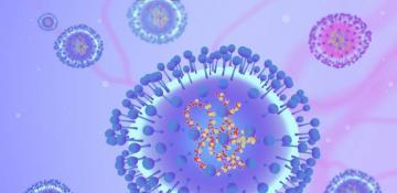 China faces new virus outbreak as HMPV spreads rapidly