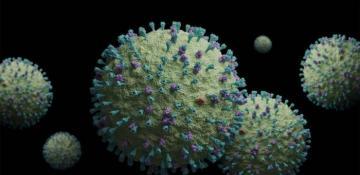 Kyrgyzstan records two cases of metapneumovirus infection