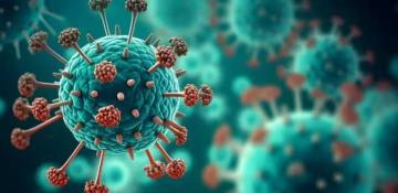 UK experts urge China to share data on HMPV outbreak