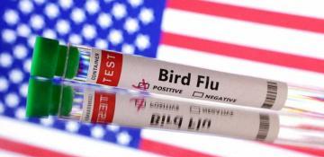 US reports first bird flu-related death 