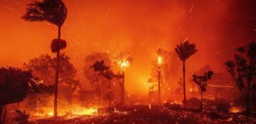 Mel Gibson’s Malibu home destroyed in Los Angeles wildfires