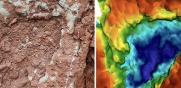  World's smallest fossilized sauropod footprint found in Xizang