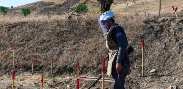 Azerbaijan defused nearly 250 landmines in its liberated lands last week 