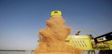 Azerbaijan imported about 1.3 million tons of wheat last year