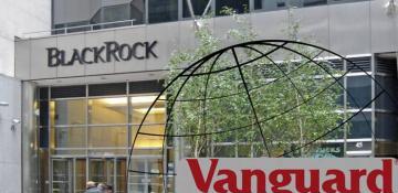 BlackRock and Vanguard: Who controls the global economy?