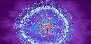 UK faces rising human metapneumovirus cases