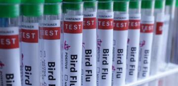 US detects first H5N9 bird flu outbreak in poultry 