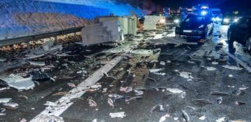 Germany: Hundreds of fish perish in truck crash 
