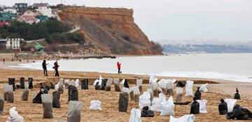 Dozens of dolphins die after fuel oil spill in Kerch Strait 