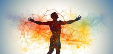 Researchers reveal link between physical activity and longevity, aging