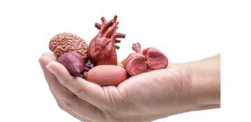 Number of people willing to donate organs after death increased in Azerbaijan 