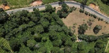 Brazil drought drives global coffee prices up 