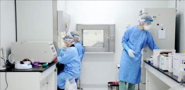 Turkish and European researchers to collaborate on brain diseases 