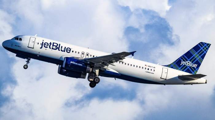 Two bodies discovered in JetBlue airliner landing gear 