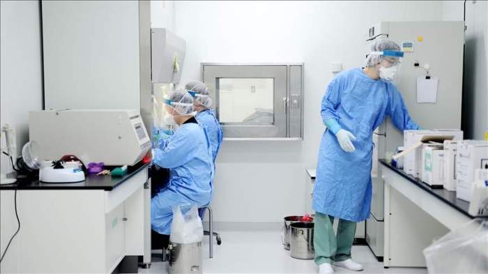 Turkish and European researchers to collaborate on brain diseases 