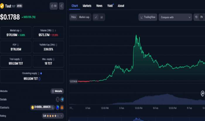 2025/02/1739445958.jpg + Test (TST) explodes by 50X after Binance listing - A new major league player in the Crypto arena? News about - Test (TST) explodes by 50X after Binance listing - A new major league player in the Crypto arena?