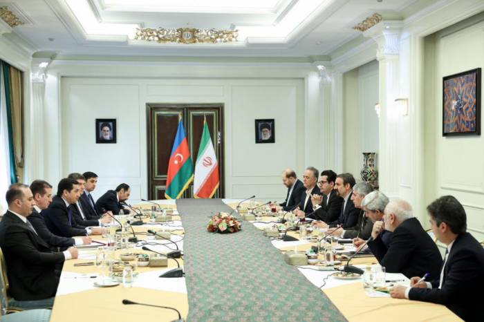 Aide to Azerbaijani President visited Iran 