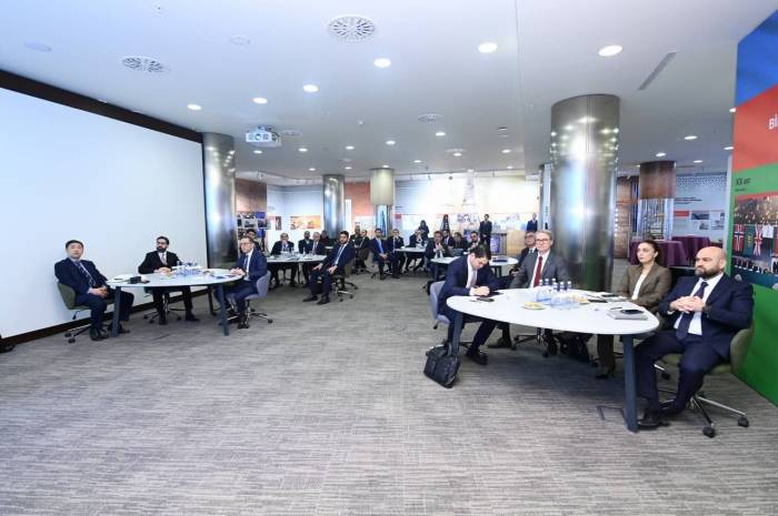 SOCAR, Japanese company discuss digitalization, decarbonization