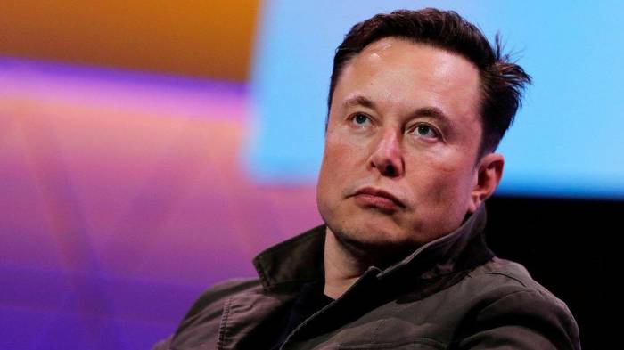 Musk claims fraud in federal government costs US $700 billion annually