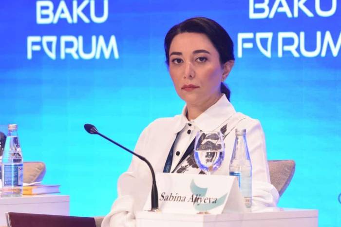 Azerbaijani ombudsperson urges Armenia to share accurate data on burial sites of murdered civilians 