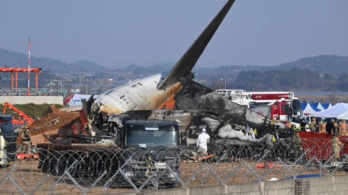 S. Korean airports to install bird detection systems following deadly air crash