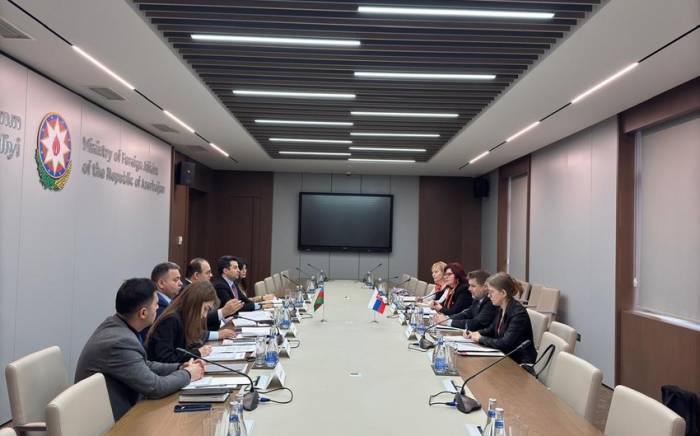 Azerbaijan, Slovakia hold first-ever consular consultations 