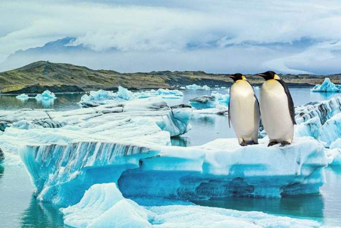 World's sea ice reaches record low 