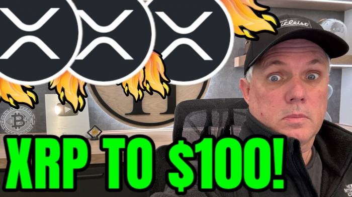 Crypto pundit predicts XRP Price to hit $100:  Contributing factors (VIDEO)
