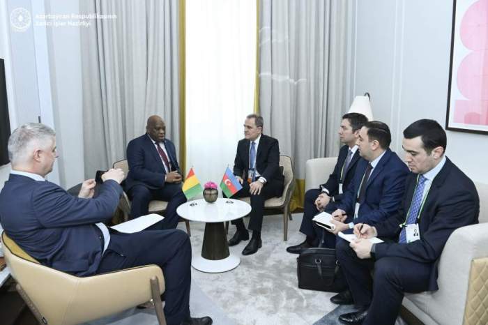 Azerbaijan and Guinea explore collaboration in multiple sectors 